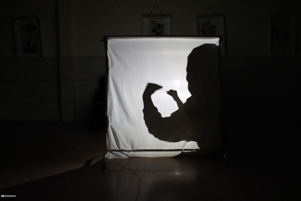 1375527 معتقدم هر عروسک سایه، دریچهای به دنیایی از تخیلات بیکران است