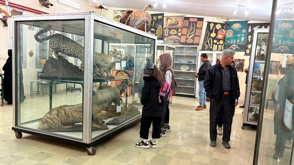 1384900 کانون مرکز پاسارگاد نوجوانان را با تجربه علمی از طبیعت تا دامپروری همراه کرد