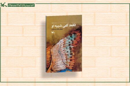 کتاب «فقط کمی شبیه او» منتشر شد