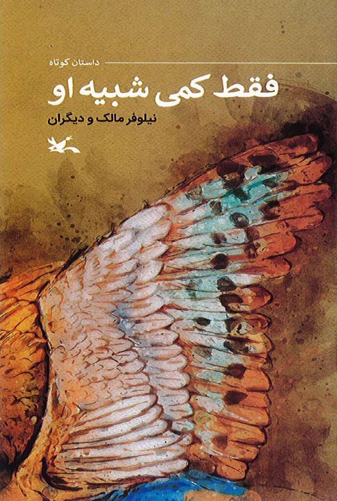 1396964-1 کتاب «فقط کمی شبیه او» منتشر شد