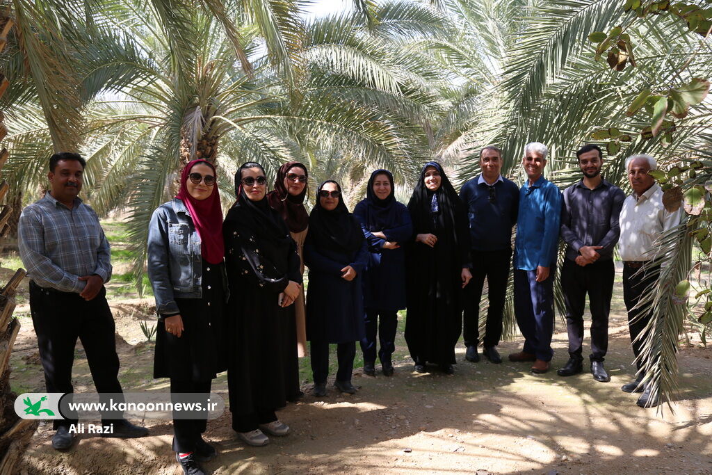 1400543 پیادهروی کارکنان کانون استان بوشهر در گرامیداشت دهه مبارک فجر