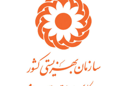 جزئیات طرح ملی دستهای مهربانی