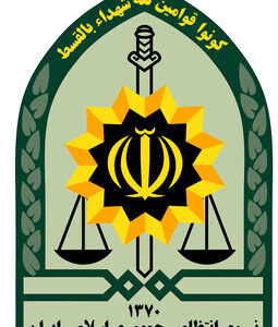 واکنش فرمانده یگان ویژه فراجا به امنیت کشور