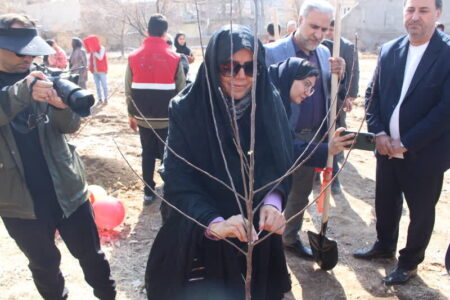 گزارش تصویری| ریشه‌گذاری امید؛ داستانی از درختان کودکان اتیسم