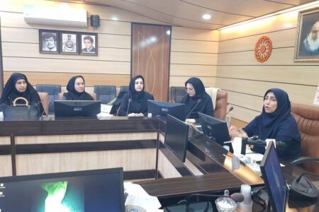 گزارش تصویری| نشست تخصصی رویکردها و ضرورتهای راهبردی دفتر مراقبت و توانمندسازی کودکان و نوجوانان در خانواده برگزار شد