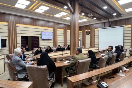 جلسه مدیرکل،رییس و کارشناسان مسئول اداره اورژانس اجتماعی بهزیستی فارس با مراکز نگهداری میان مدت و حمایتی آموزشی کودک و خانواده