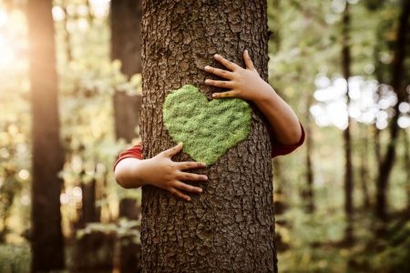 ۳۰ بهمن؛ آخرین مهلت ارسال اثر به جشنواره «بنویسیم درخت»