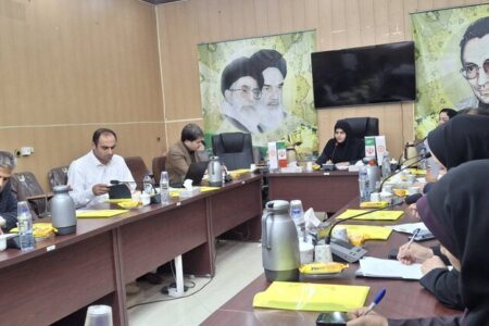 تأکید بر هم‌افزایی بین‌بخشی برای حمایت از کودکان کار و خیابان