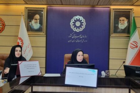 گزارش تصویری| جلسه توجیهی دستور العمل تخصصی مراقبت و پرورش کودکان و نوجوانان تحت سرپرستی سازمان بهزیستی در خانواده برگزار شد
