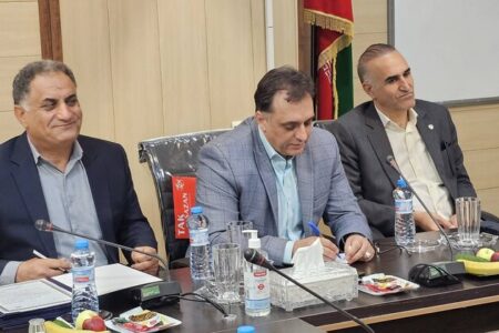 تأکید مدیرکل دفتر مراقبت و توانمندسازی کودکان و نوجوانان بهزیستی کشور بر تقویت خانواده و بازپیوند فرزندان به محیط خانواده