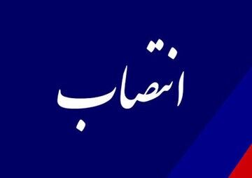 ۲ انتصاب کلیدی در آموزش و پرورش؛ گامی مهم در راستای تحول ساختاری و ارتقای سازمان نهضت سوادآموزی