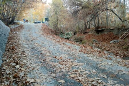 روزهای پایانی برای دیده شدن مدافعان گمنام تالاب‌ها